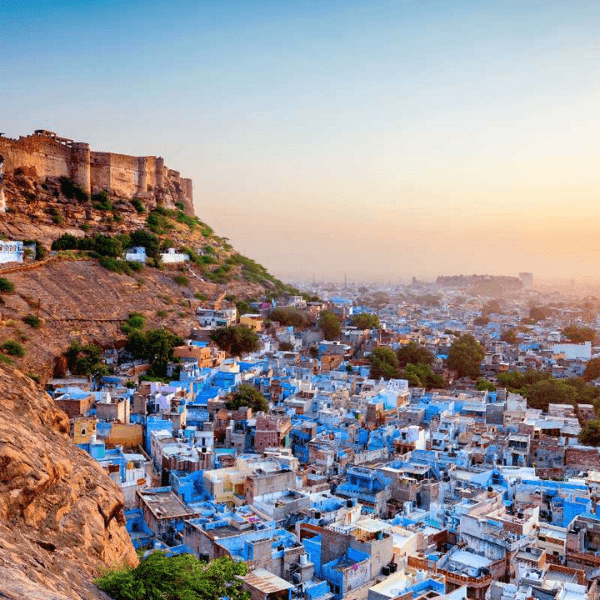 Discover the highlights of Jodhpur with a local