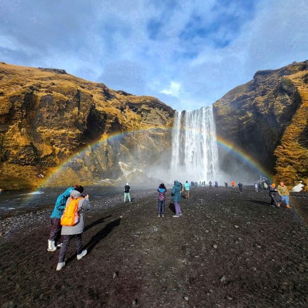 Visit the cascading waterfall - Seljalandsfoss